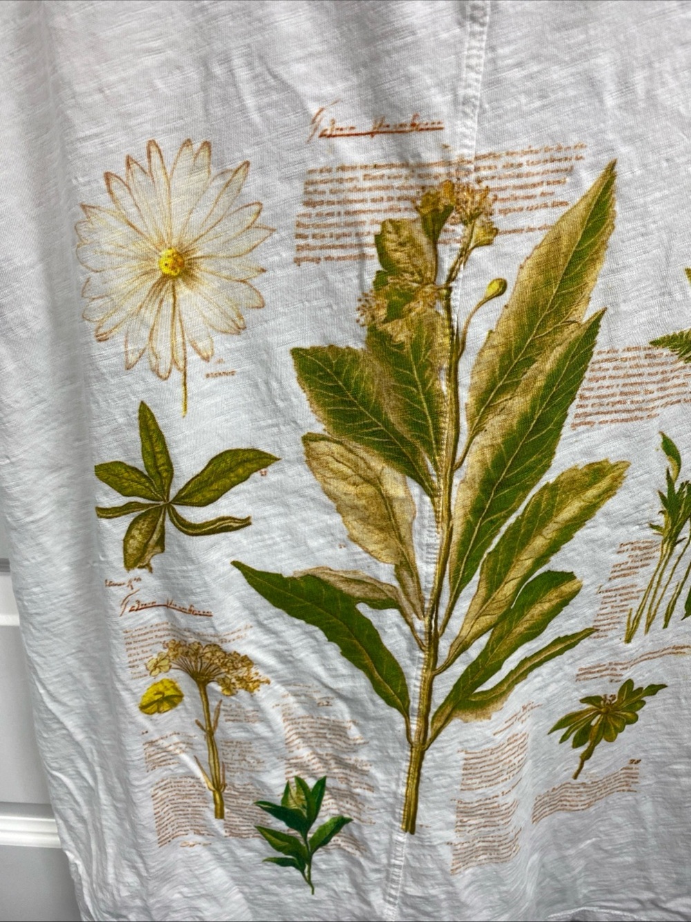 Pilcro Anthropologie Floral Botanical T Shirt Small Cotton Oversized Spring - Picture 5 of 8